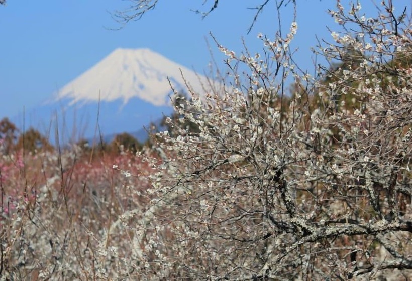 ホテル Yukairo Kikuya