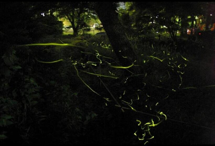 ホテル Yukairo Kikuya