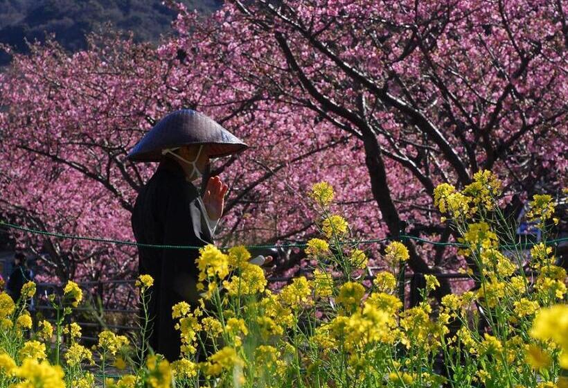 ホテル Yukairo Kikuya