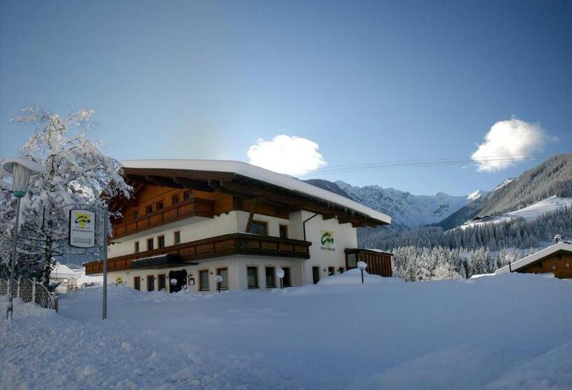 Panorama Hotel Cis   Bed And Breakfast