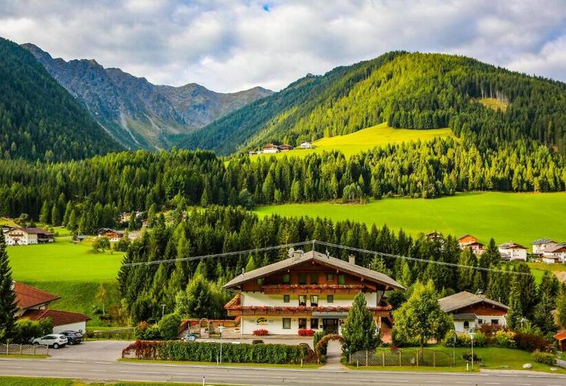 Panorama Hotel Cis   Bed And Breakfast