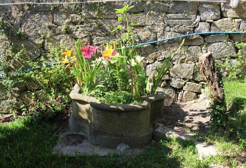 پانسیون Dear Porto Guest House