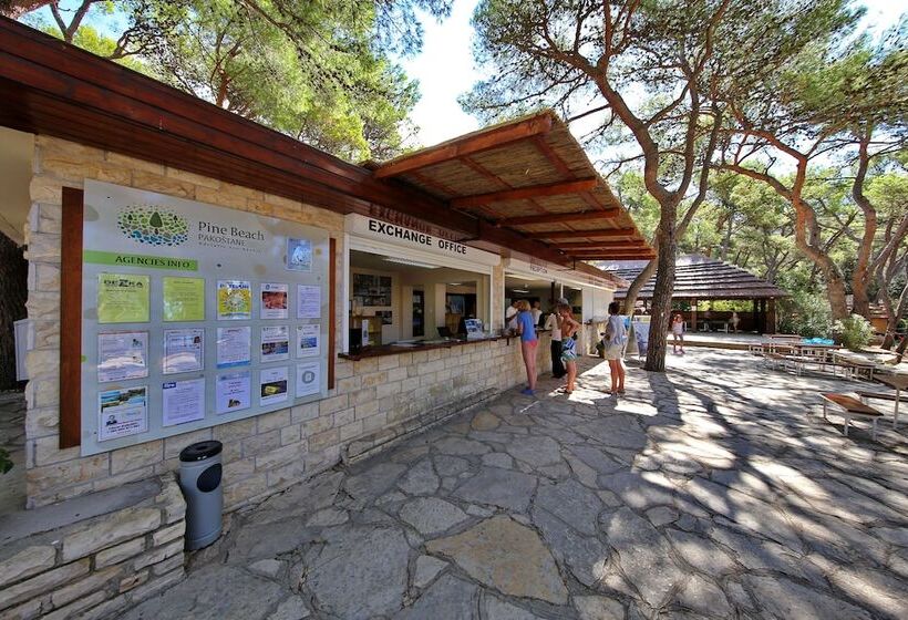 Курорт Pine Beach Pakostane Glamping Homes   All Inclusive Light