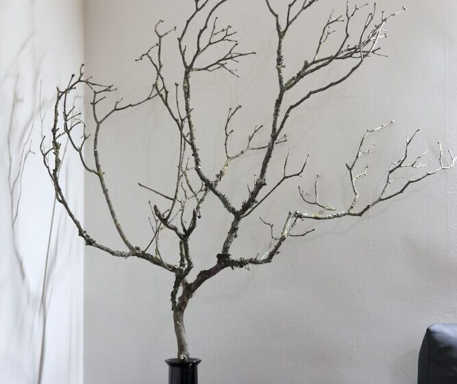 Quinta Dos 4 Lagares