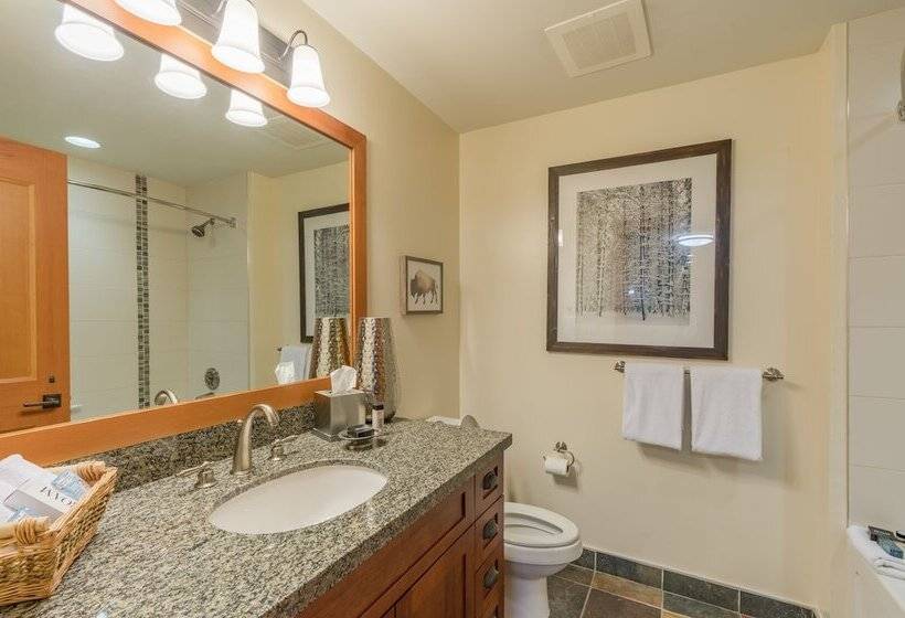 Capitol Peak Lodge By Snowmass Mountain Lodging