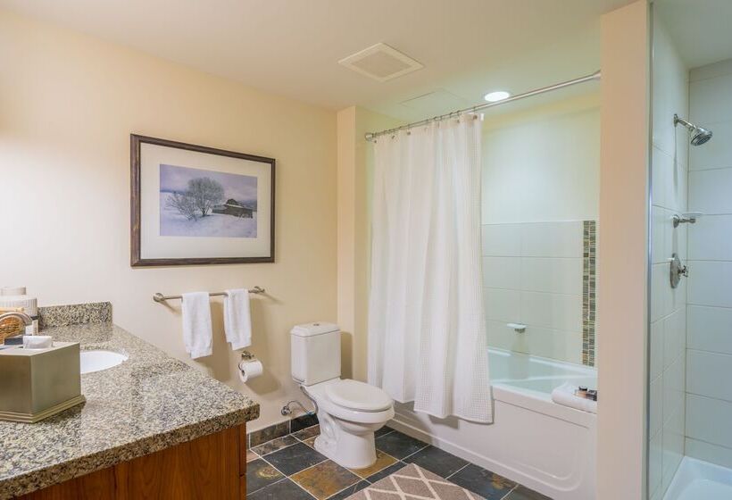 Capitol Peak Lodge By Snowmass Mountain Lodging