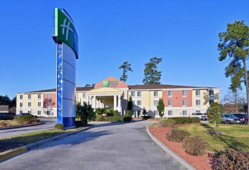 Holiday Inn Express Hotel And Suites Houston Kingwood