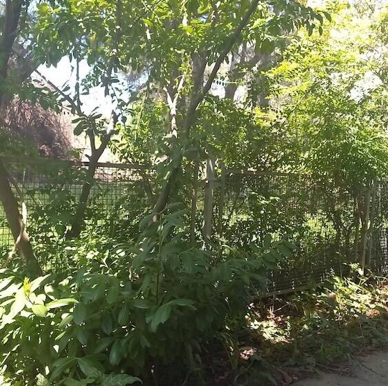 בית מלון כפרי Albion