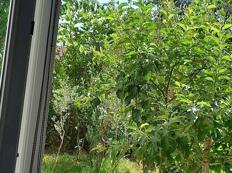 בית מלון כפרי Albion