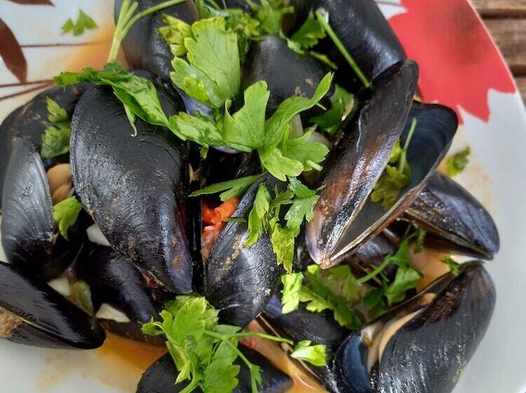 בית מלון כפרי Albion