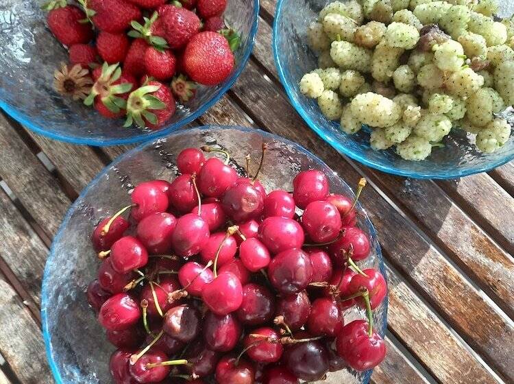 בית מלון כפרי Albion