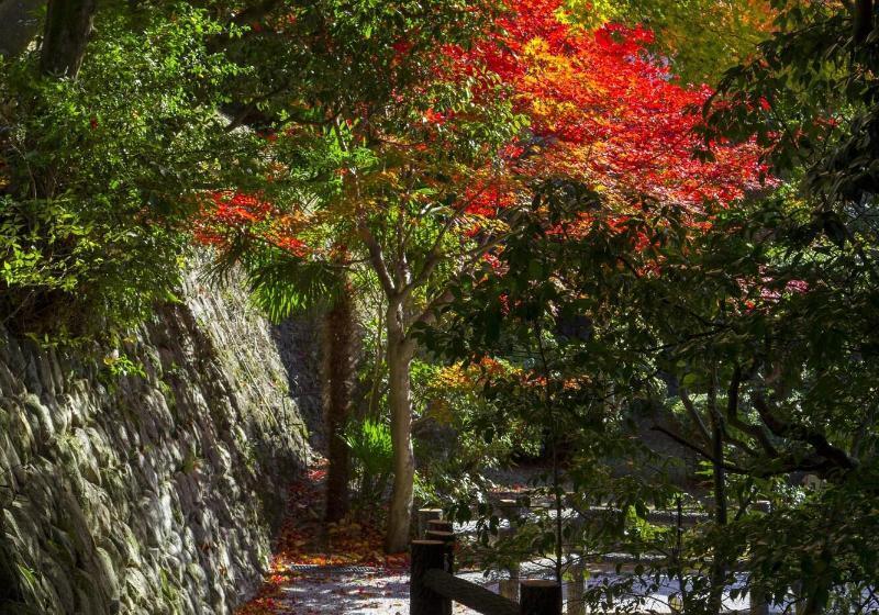 酒店 Motoyu Kosenkaku