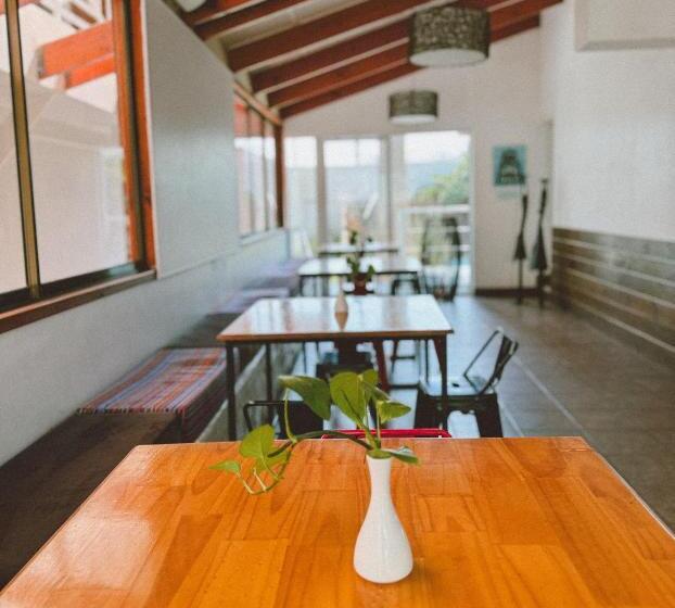 Отель Avenida En Arica