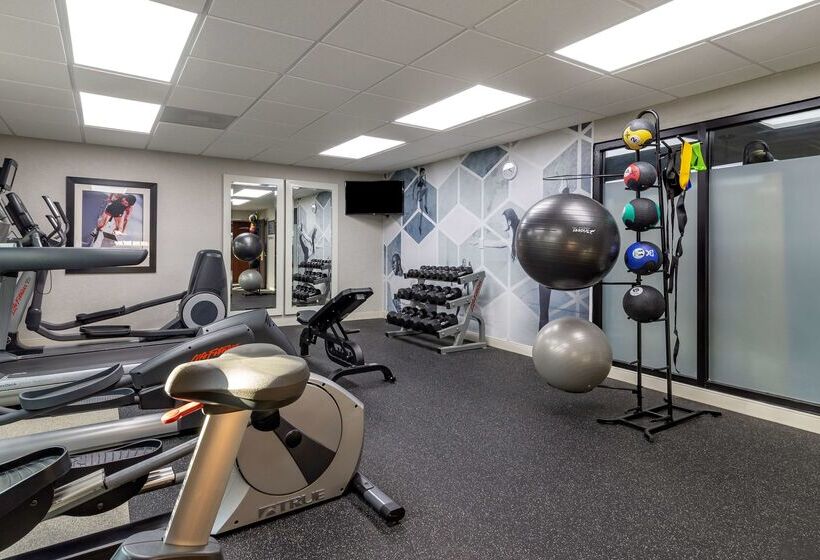 酒店 Best Western Plus Dalton Inn