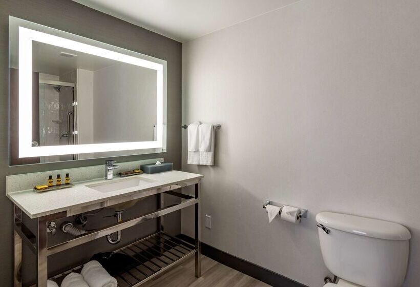 酒店 Best Western Plus Dalton Inn