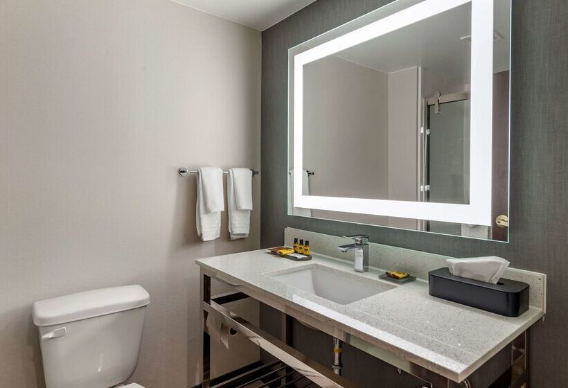 酒店 Best Western Plus Dalton Inn