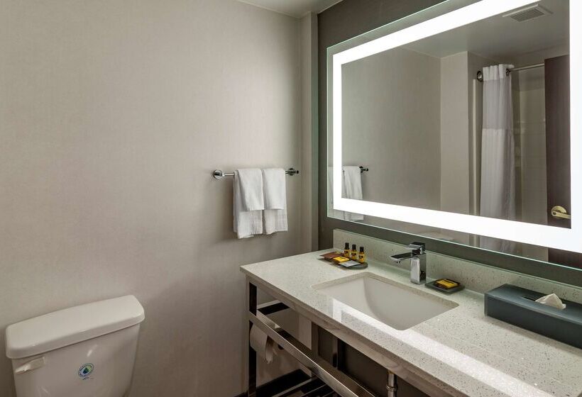 هتل Best Western Plus Dalton Inn