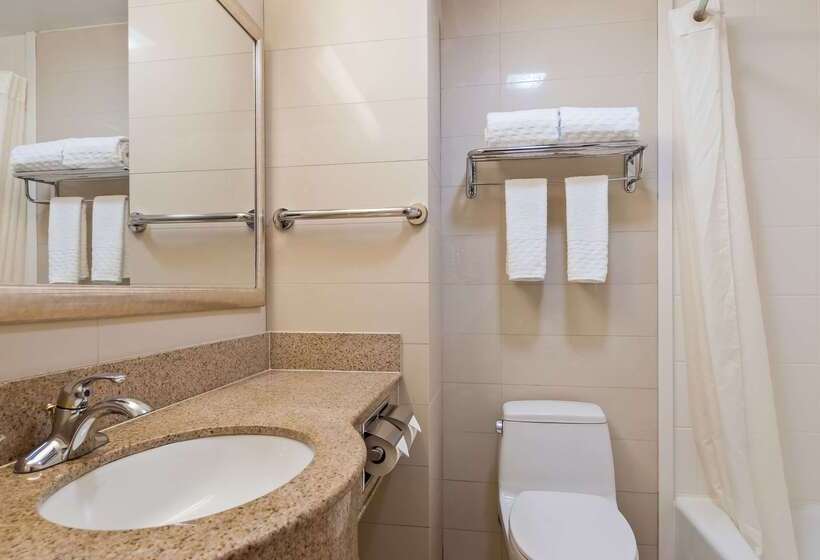 فندق Best Western Plus Plaza