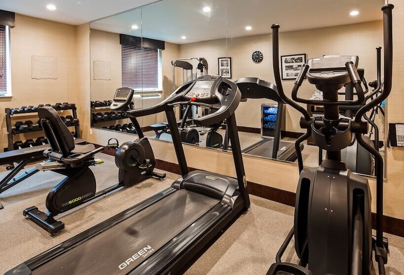 فندق Best Western Plus Plaza