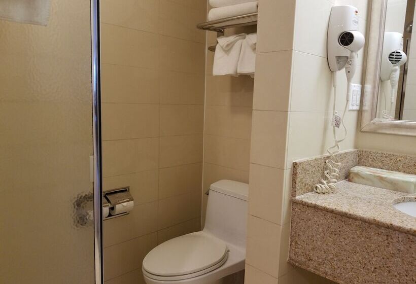 فندق Best Western Plus Plaza