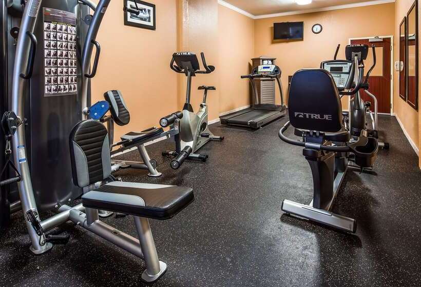 Отель Best Western Plus Waxahachie Inn & Suites