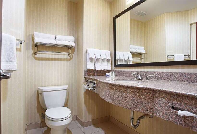 Отель Best Western Plus Waxahachie Inn & Suites