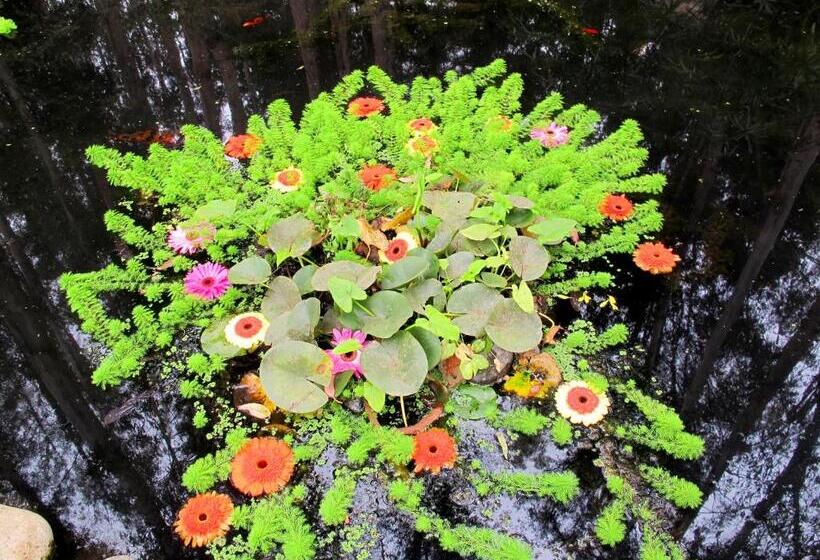 בית מלון כפרי Bosque De Reñaca