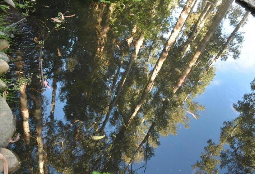 בית מלון כפרי Bosque De Reñaca