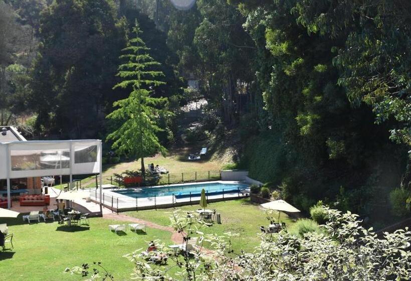 בית מלון כפרי Bosque De Reñaca