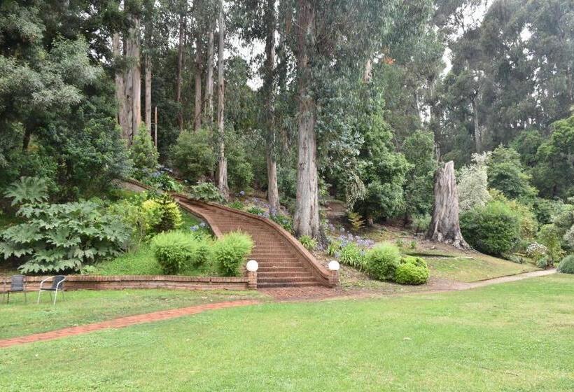 בית מלון כפרי Bosque De Reñaca