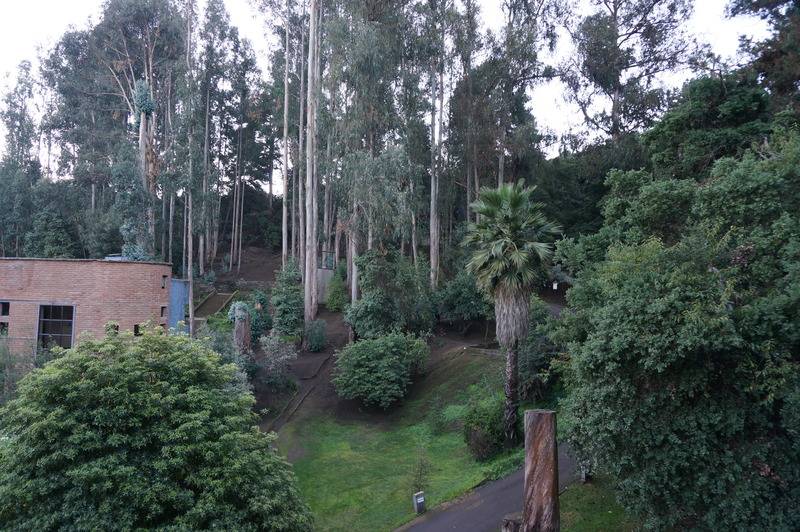 בית מלון כפרי Bosque De Reñaca