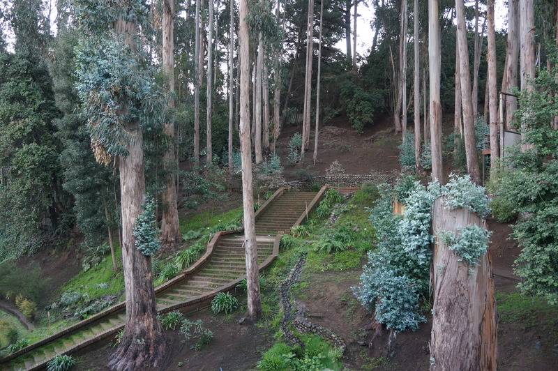 בית מלון כפרי Bosque De Reñaca