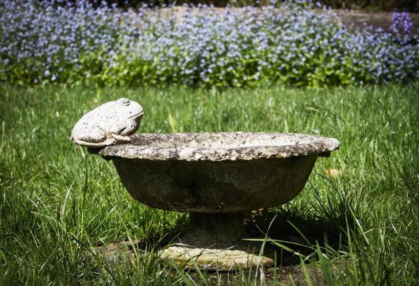 Casa Kalfu Hotel Boutique