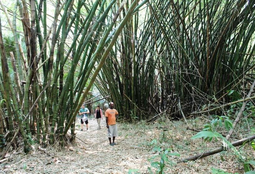 فندق Chabil Mar Luxury Villas   Guest Exclusive Beach Resort