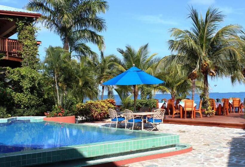 فندق Chabil Mar Luxury Villas   Guest Exclusive Beach Resort