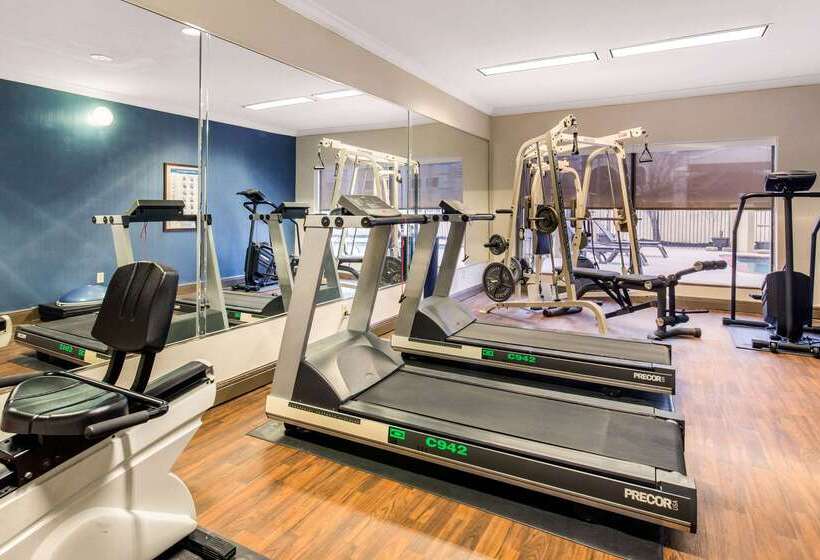 Отель Comfort Inn & Suites Iah Bush Airport – East