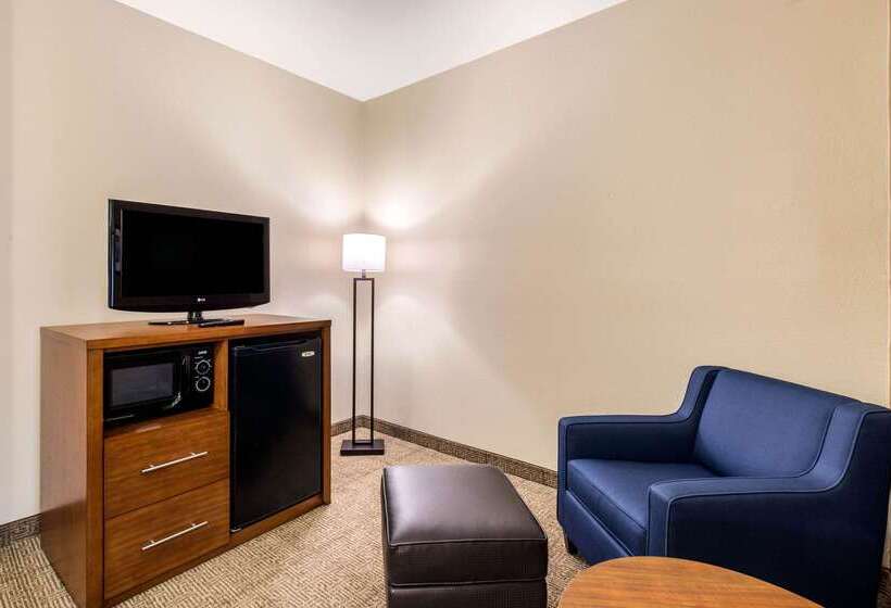 Отель Comfort Inn & Suites Iah Bush Airport – East