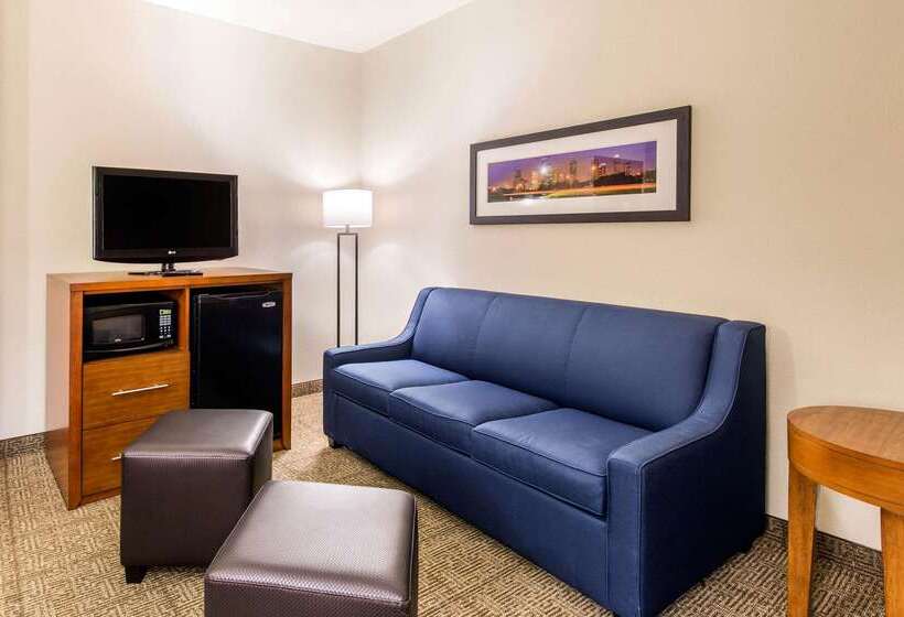 Отель Comfort Inn & Suites Iah Bush Airport – East