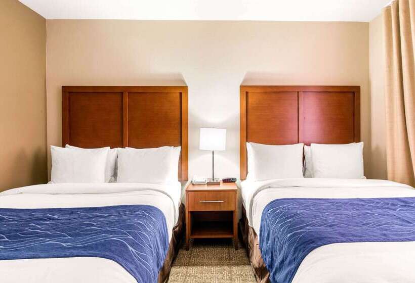 Отель Comfort Inn & Suites Iah Bush Airport – East