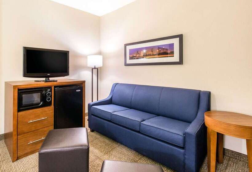 ホテル Comfort Inn & Suites Iah Bush Airport – East
