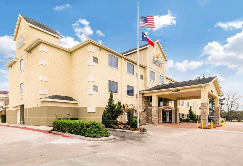ホテル Comfort Inn & Suites Iah Bush Airport – East