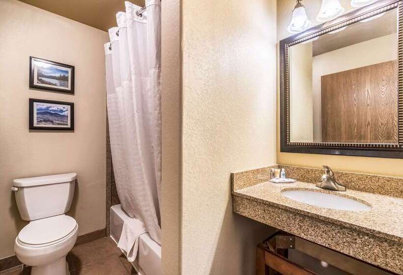 فندق Comfort Inn & Suites