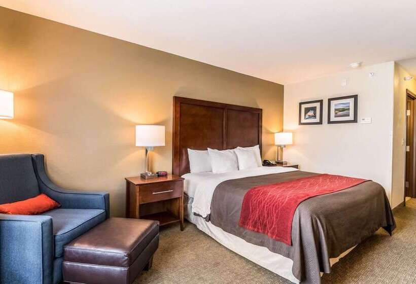 فندق Comfort Inn & Suites