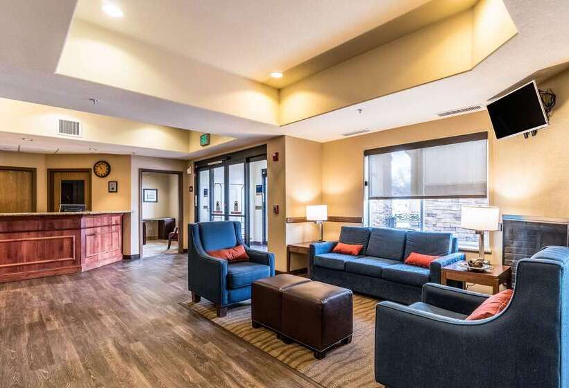 فندق Comfort Inn & Suites