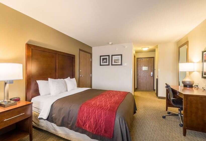 فندق Comfort Inn & Suites