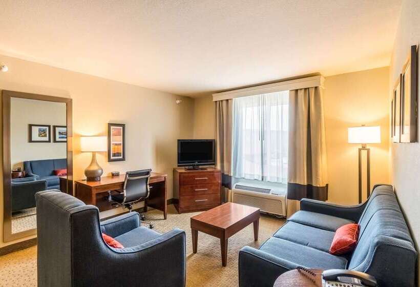 فندق Comfort Inn & Suites