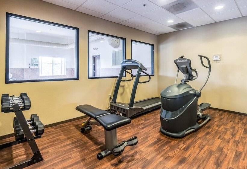 فندق Comfort Inn & Suites