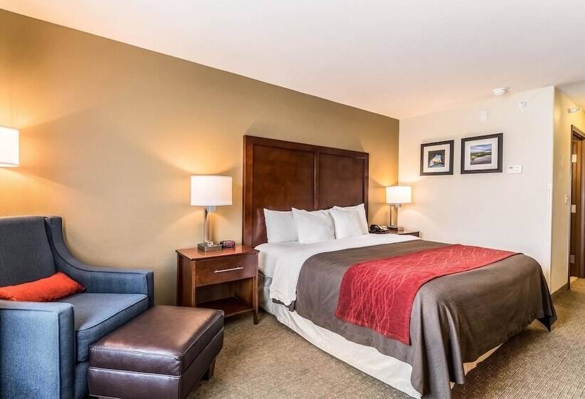 فندق Comfort Inn & Suites