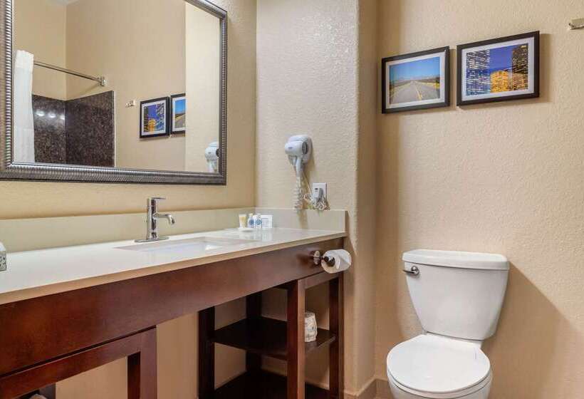 Отель Comfort Suites Baytown I   10