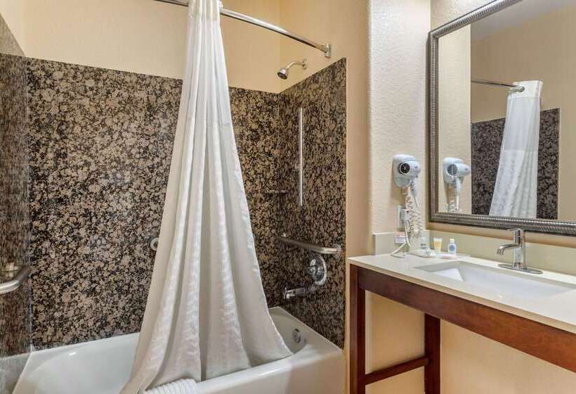 בית מלון כפרי Comfort Suites Baytown I   10